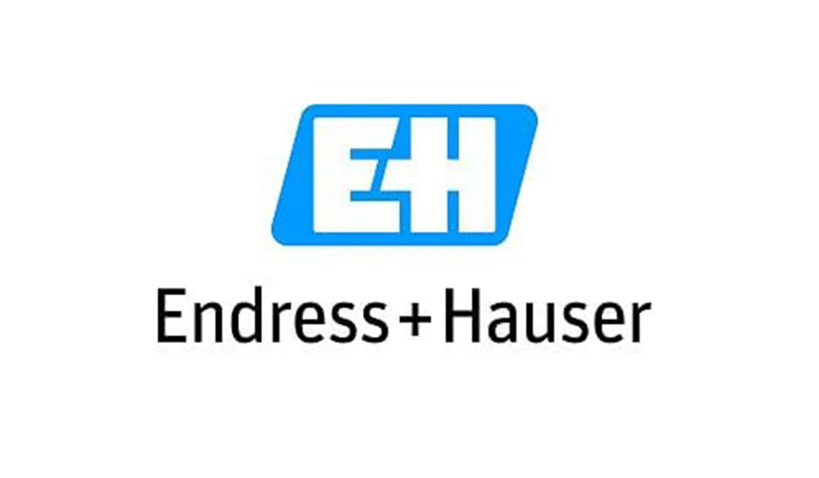 Endress+Hauser